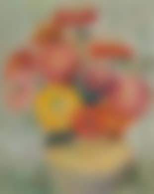 Zinnia (preview)