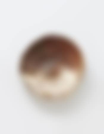Plate (preview)