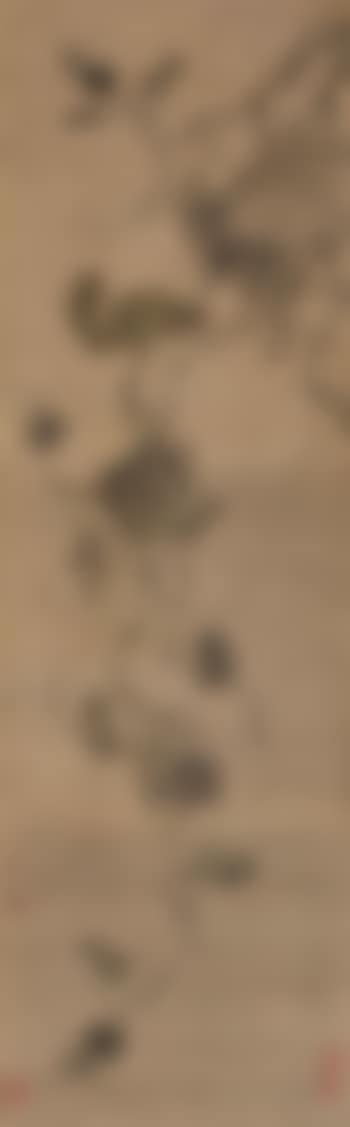Squirrel on a Grapevine (preview)