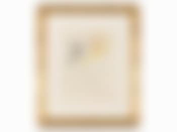 Incantation (preview)