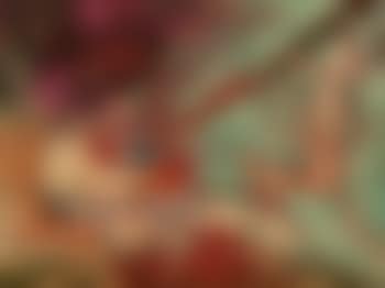 Le s'oeil (preview)