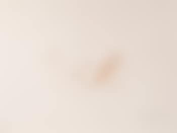 Untitled (from Bag One) (preview)