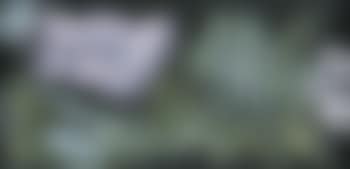 Sans titre (preview)