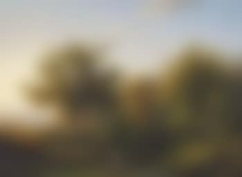 A wooded landscape with grazing cattle near a stream (preview)