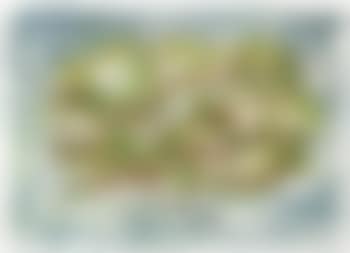 Los Pinos (preview)