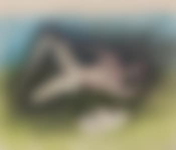 Descanso (preview)