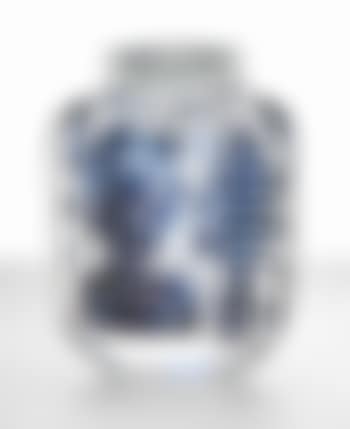 The Blue Lady (preview)