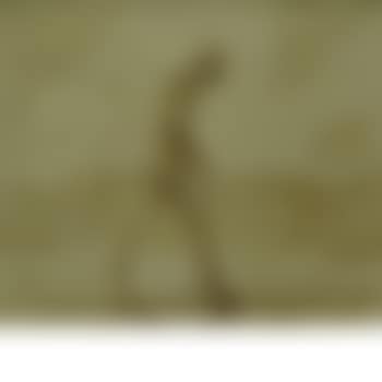 Walking along the Shore (preview)