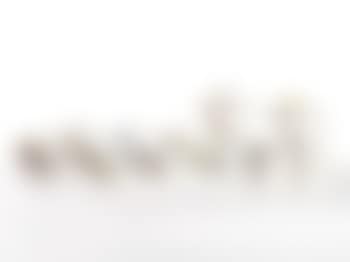 30-Piece Porcelain Service (preview)
