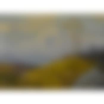 Mount McKinley (preview)
