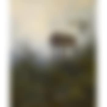 Indian cache (preview)