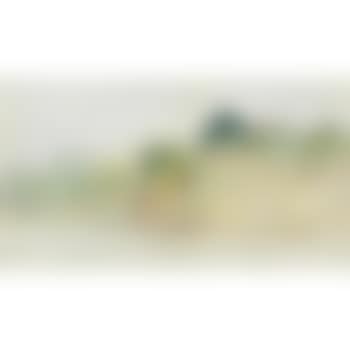 [Untitled] (preview)