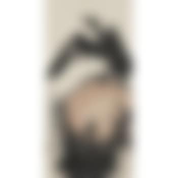 Hawk (preview)