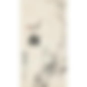 Immortal Crane (preview)