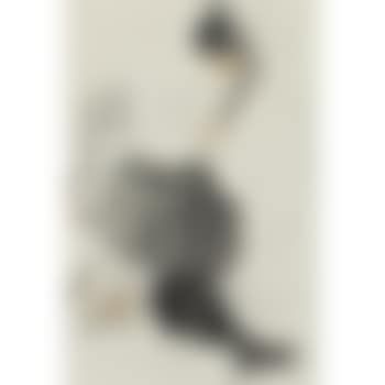 Reading Girl (preview)
