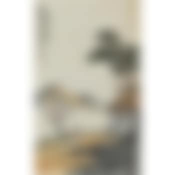 Spring Scenery (preview)