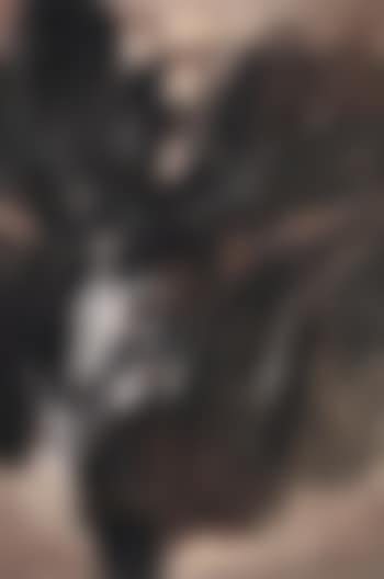 No. 96 (preview)