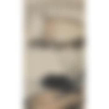 Cormorant (preview)