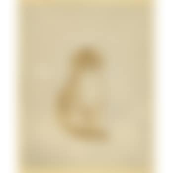Chat Brun, from Les Chats (B. 29.04) (preview)