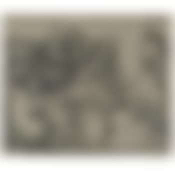Bacchanale au hibou (B. 938; Ba. 1265) (preview)