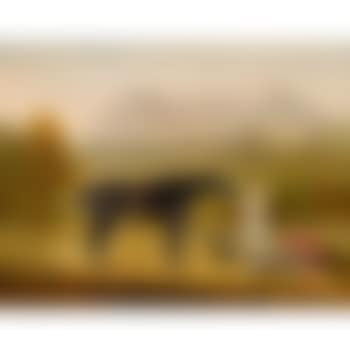 Grouse (preview)