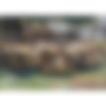 Sheep in a meadow (preview)