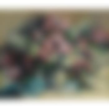 Lilacs (preview)