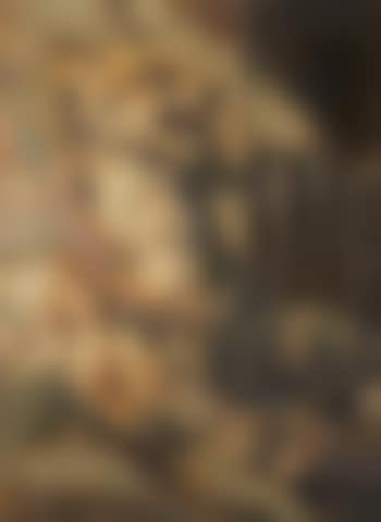 Hunting Still Life with Fox (preview)