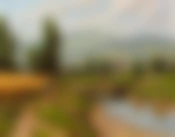 Women by Bridge (preview)