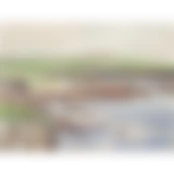 A farm in Orkney, Odness, Stronsay (preview)