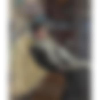 Portrait of Mrs. James Hill (preview)