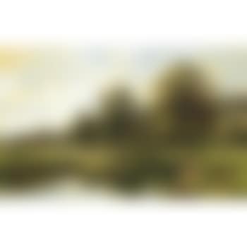 A river landscape (preview)