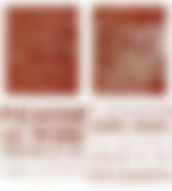 Exposition de Vallauris (preview)