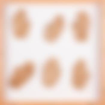 Untitled (preview)