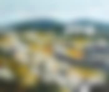Cottages near Derrybeg, county Donegal (preview)