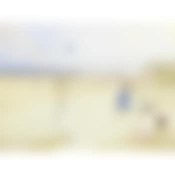 Beach butterflies (preview)