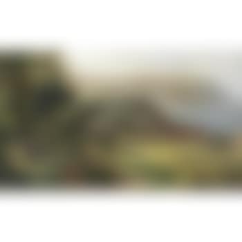 Springtime: Runswick bay (preview)