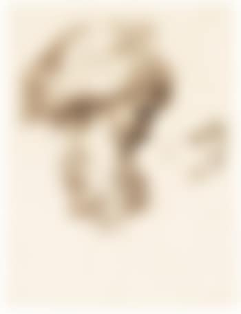 Two studies of heads: a bearded man with a fur hat and a young boy (preview)