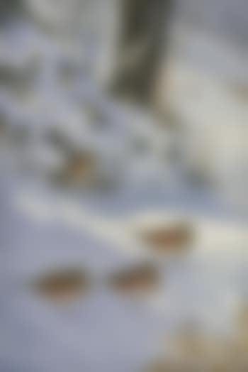 Redwings and firecrests in the snow (preview)