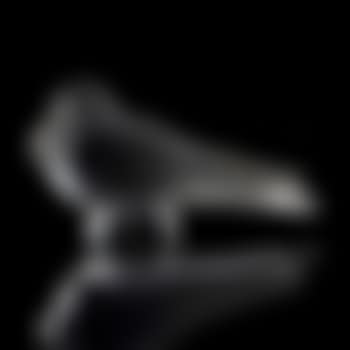 Pigeon bruges figure (preview)