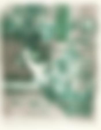 Couverture pour Douze Lithographies en couleurs, or Paysages et intérieurs (preview)