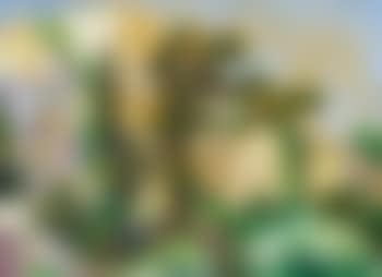 Paysage de Menerbe (preview)