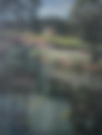 Paysage à la rivière (preview)