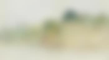 Yamaura (preview)