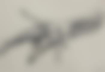 Chicken foot (preview)