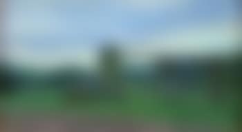 Cheval au tir (preview)