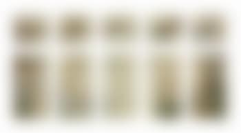 Study for A Floral Window (preview)