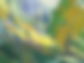 Valley Landscape (preview)