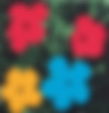 Andy Warhold (Flowers) (preview)