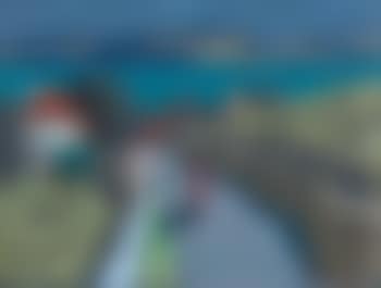 Strasse am Bielersee im Mondlicht (preview)